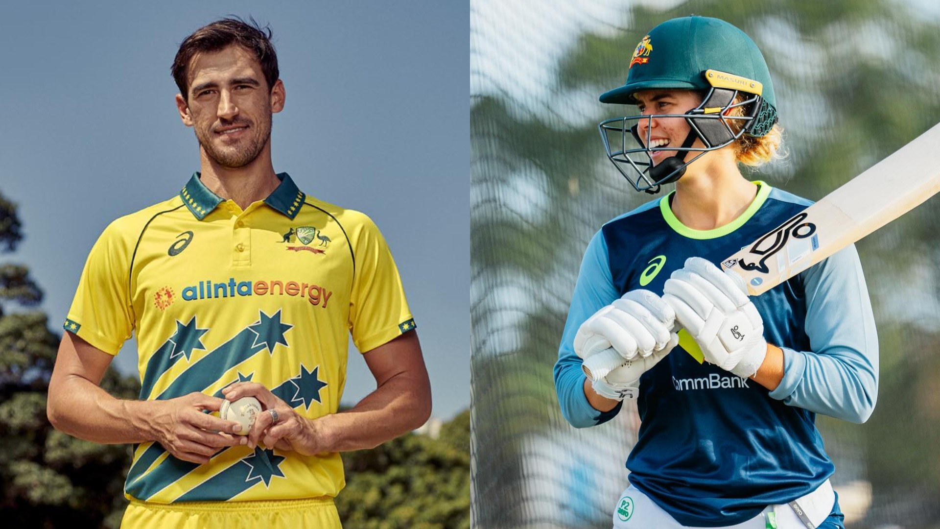 phoebe litchfield mitchell starc